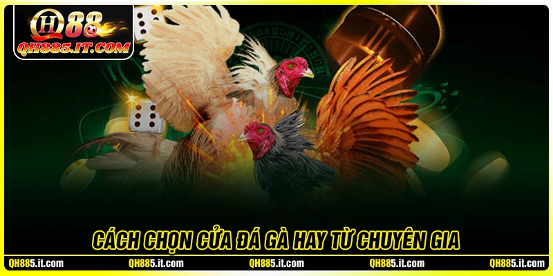 4 cách chọn cửa đá gà siêu hay từ chuyên gia