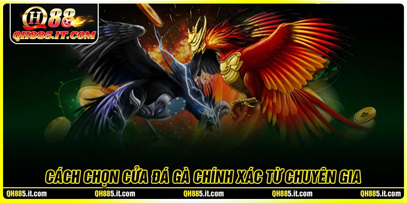 Cách chọn cửa đá gà chính xác từ cao thủ QH88
