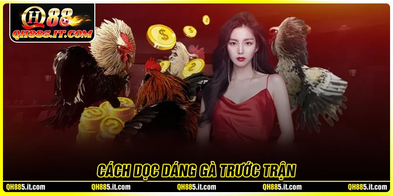Cách đọc dáng gà trước trận chi tiết dễ hiểu nhất