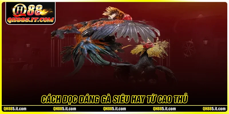 Cách đọc dáng gà trước trận cực chuẩn xác