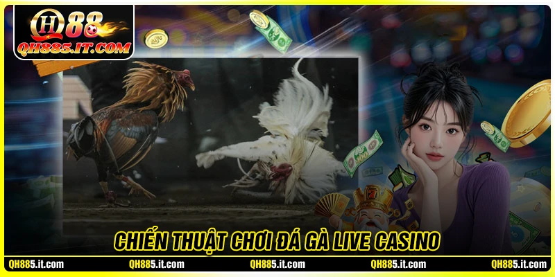 Chiến thuật chơi đá gà live casino online đỉnh cao