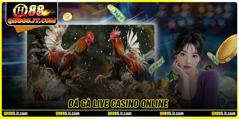 Đá gà live casino online - Luật chơi & chiến lược cơ bản