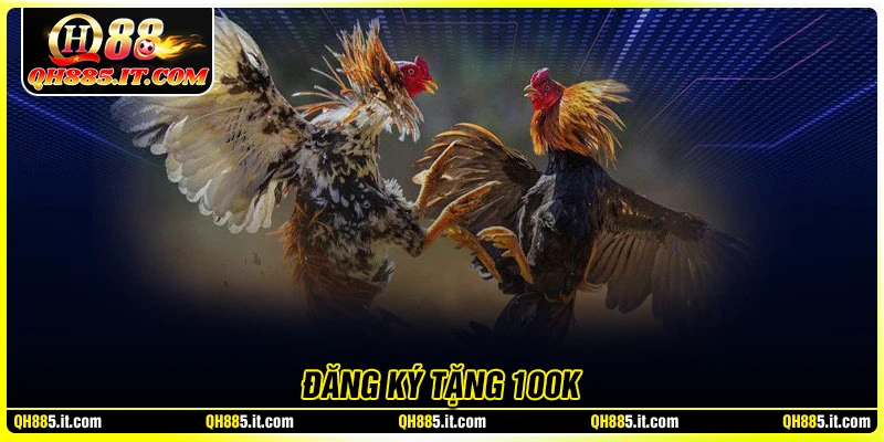 Đăng ký tặng 100K - Ưu đãi chào mừng tân thủ QH88