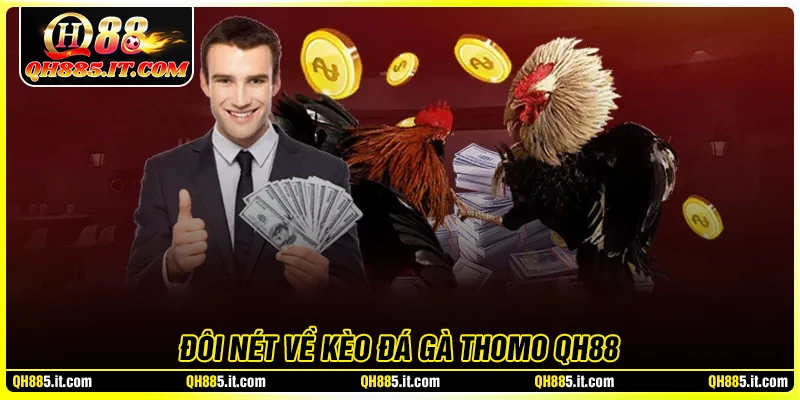 Đôi nét về kèo gà Thomo QH88
