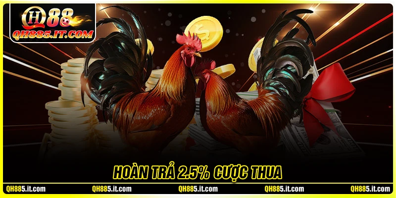 Hoàn Trả 2,5% Cược Thua - Giải trí thả ga, không lo hết tiền 