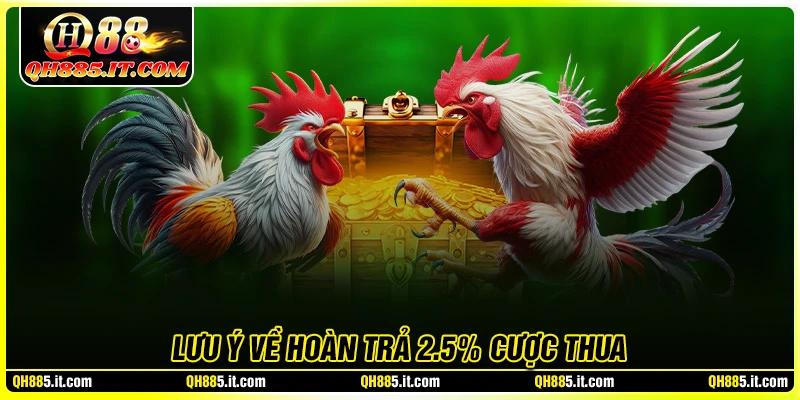 Lưu ý về hoàn trả 2.5% cược thua