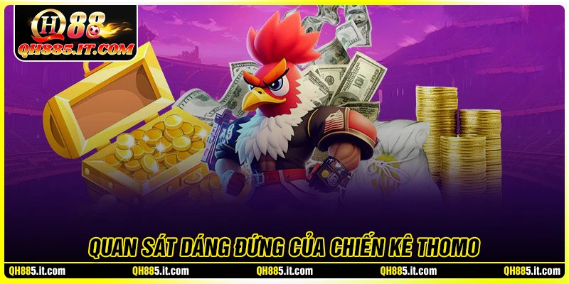 Quan sát tốc độ và độ chuẩn xác của đòn đá