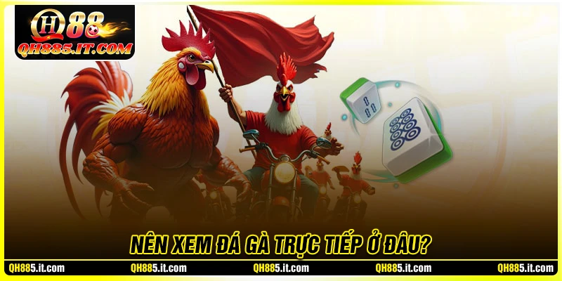 Sân chơi nào hỗ trợ đá gà uy tín nhất hiện nay?