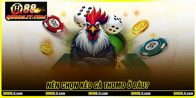 Tại sao nên chọn QH88 để đặt kèo đá gà live Thomo