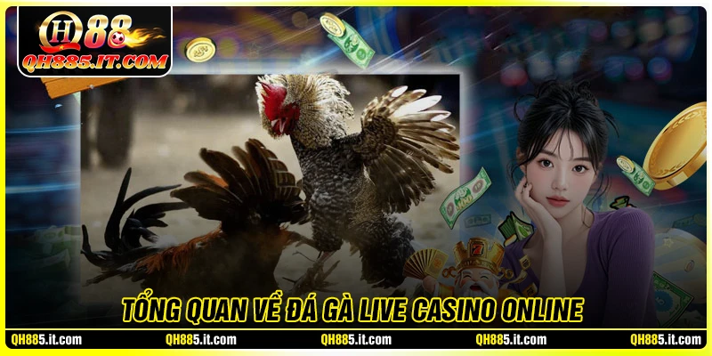 Tổng quan về đá gà live casino online