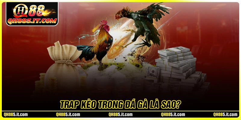 Trap kèo trong đá gà nghĩa là gì?