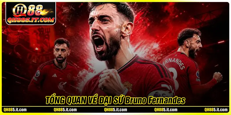 Tổng quan về đại sứ thương hiệu Bruno Fernandes 