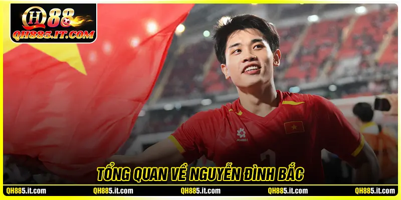 Tổng quan về Nguyễn Đình Bắc